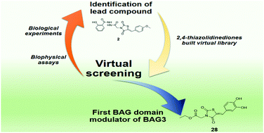 Graphical abstract: Discovery and synthesis of the first selective BAG domain modulator of BAG3 as an attractive candidate for the development of a new class of chemotherapeutics