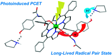 Graphical abstract: Formation of a long-lived radical pair in a Sn(iv) porphyrin–di(l-tyrosinato) conjugate driven by proton-coupled electron-transfer