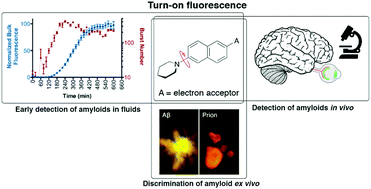 Graphical abstract: Translational opportunities for amyloid-targeting fluorophores