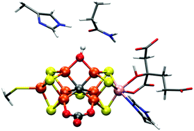 Graphical abstract: QM/MM calculations reveal a bridging hydroxo group in a vanadium nitrogenase crystal structure