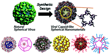 Graphical abstract: Synthetic approaches to construct viral capsid-like spherical nanomaterials