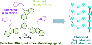 Graphical abstract: Multicarbazole scaffolds for selective G-quadruplex binding