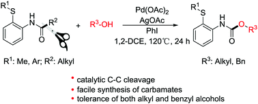 Graphical abstract: Palladium-catalyzed C(carbonyl)–C bond cleavage of amides: a facile access to phenylcarbamate derivatives with alcohols
