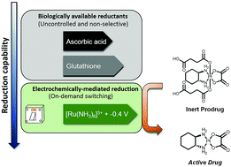 Graphical abstract: Electrodrugs: an electrochemical prodrug activation strategy