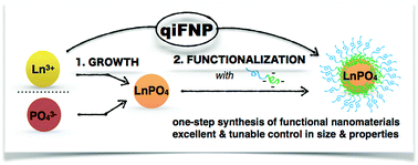 Graphical abstract: Quench ionic flash nano precipitation as a simple and tunable approach to decouple growth and functionalization for the one-step synthesis of functional LnPO4-based nanoparticles in water