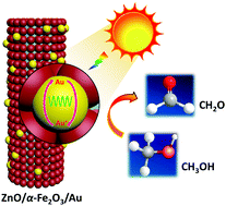 Graphical abstract: Enhanced plasmon-driven photoelectrocatalytic methanol oxidation on Au decorated α-Fe2O3 nanotube arrays