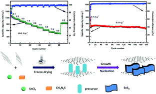 Graphical abstract: A versatile strategy for ultrathin SnS2 nanosheets confined in a N-doped graphene sheet composite for high performance lithium and sodium-ion batteries