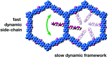 Graphical abstract: Framework vs. side-chain amphidynamic behaviour in oligo-(ethylene oxide) functionalised covalent-organic frameworks