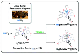 Graphical abstract: A molecular basis to rare earth separations for recycling: tuning the TriNOx ligand properties for improved performance