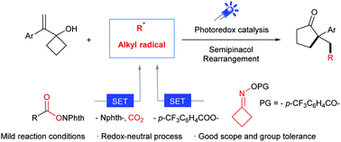Graphical abstract: Photoredox-promoted alkyl radical addition/semipinacol rearrangement sequences of alkenylcyclobutanols: rapid access to cyclic ketones