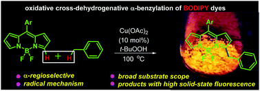 Graphical abstract: Copper-catalyzed α-benzylation of BODIPYs via radical-triggered oxidative cross-coupling of two C–H bonds