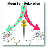 Graphical abstract: Isotope effects on the spin dynamics of single-molecule magnets probed using muon spin spectroscopy