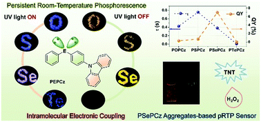 Graphical abstract: Chalcogen atom modulated persistent room-temperature phosphorescence through intramolecular electronic coupling