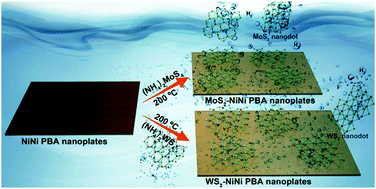Graphical abstract: Nanodots of transition metal (Mo and W) disulfides grown on NiNi Prussian blue analogue nanoplates for efficient hydrogen production