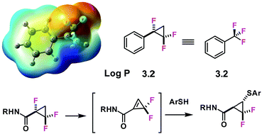 Graphical abstract: Fluorinated cyclopropanes: synthesis and chemistry of the aryl α,β,β-trifluorocyclopropane motif
