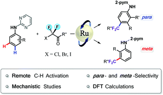 Graphical abstract: Ruthenium(ii)-catalyzed selective C–H difluoroalkylation of aniline derivatives with pyrimidyl auxiliaries