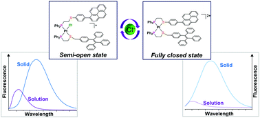 Graphical abstract: A four-state fluorescent molecular switch