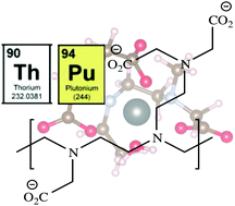 Graphical abstract: Polyethyleneimine methylenecarboxylate: a macromolecular DTPA analogue to chelate plutonium(iv)