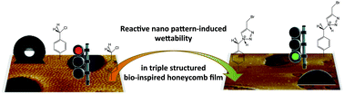 Graphical abstract: Reactive nano-patterns in triple structured bio-inspired honeycomb films as a clickable platform