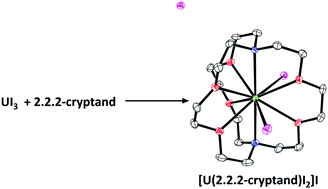 Graphical abstract: Synthesis of uranium-in-cryptand complexes