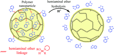 Graphical abstract: Hemiaminal ether linkages provide a selective release of payloads from polymer conjugates