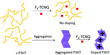 Graphical abstract: Aggregation of P3HT as a preferred pathway for its chemical doping with F4-TCNQ