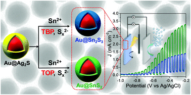 Graphical abstract: Phosphine ligand-mediated kinetics manipulation of aqueous cation exchange: a case study on the synthesis of Au@SnSx core–shell nanocrystals for photoelectrochemical water splitting