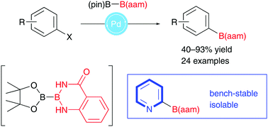 Graphical abstract: Anthranilamide (aam)-substituted diboron: palladium-catalyzed selective B(aam) transfer