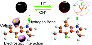 Graphical abstract: A recyclable hydroxyl functionalized polyindole hydrogel for sodium hydroxide extraction via the synergistic effect of cation–π interactions and hydrogen bonding