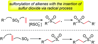 Graphical abstract: Recent advances in the sulfonylation of alkenes with the insertion of sulfur dioxide via radical reactions