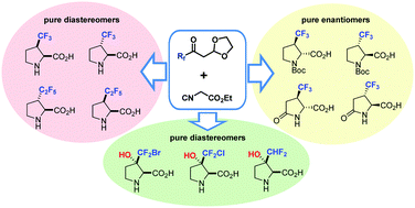 Graphical abstract: Synthesis of new fluorinated proline analogues from polyfluoroalkyl β-ketoacetals and ethyl isocyanoacetate