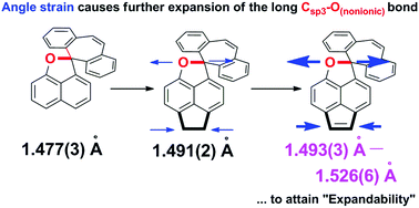 Graphical abstract: Expandability of a long C–O bond by a scissor effect in acenaphthofuran