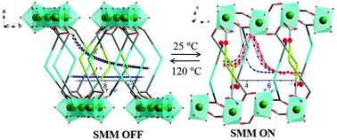 Graphical abstract: Reversible structural transformation induced switchable single-molecule magnet behavior in lanthanide metal–organic frameworks