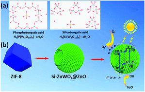 Graphical abstract: ZIF-8@polyoxometalate derived Si-doped ZnWO4@ZnO nanocapsules with open-shaped structures for efficient visible light photocatalysis