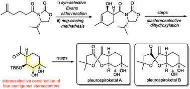 Graphical abstract: Asymmetric total synthesis of pleurospiroketals A and B
