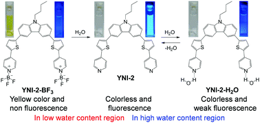 Graphical abstract: A colorimetric and fluorescent sensor for water in acetonitrile based on intramolecular charge transfer: D–(π–A)2-type pyridine–boron trifluoride complex