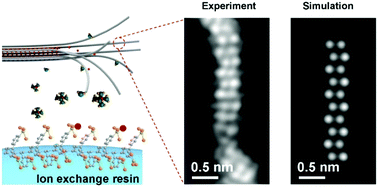 Graphical abstract: Highly concentrated single-chain atomic crystal LiMo3Se3 solution using ion-exchange chromatography