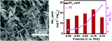 Graphical abstract: Efficient and durable N2 reduction electrocatalysis under ambient conditions: β-FeOOH nanorods as a non-noble-metal catalyst