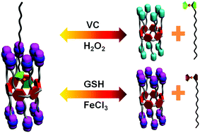 Graphical abstract: A dual redox-responsive supramolecular amphiphile fabricated by selenium-containing pillar[6]arene-based molecular recognition