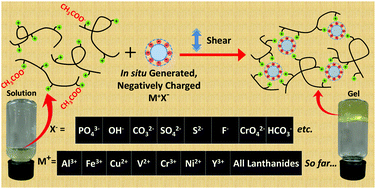 Graphical abstract: Facile, shear-induced, rapid formation of stable gels of chitosan through in situ generation of colloidal metal salts