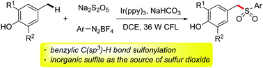 Graphical abstract: Benzylic C(sp3)–H bond sulfonylation of 4-methylphenols with the insertion of sulfur dioxide under photocatalysis