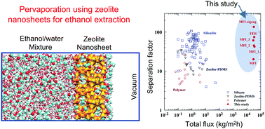 Graphical abstract: Exploring the potential and design of zeolite nanosheets as pervaporation membranes for ethanol extraction