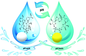 Graphical abstract: Reversible pH-induced fluorescence colour change of gold nanoclusters based on pH-regulated surface interactions