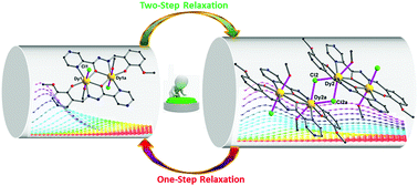 Graphical abstract: Consecutive one-/two-step relaxation transformations of single-molecule magnets via coupling dinuclear dysprosium compounds with chloride bridges