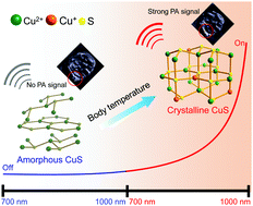 Graphical abstract: A smart off–on copper sulfide photoacoustic imaging agent based on amorphous–crystalline transition for cancer imaging
