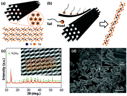 Graphical abstract: Design of dispersant structures for preparing highly concentrated one-dimensional inorganic molecular chains from V2Se9 crystals