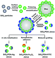 Graphical abstract: A versatile colloidal Janus platform: surface asymmetry control, functionalization, and applications