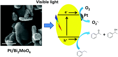 Graphical abstract: Selective aerobic oxidation of alkyl aromatics on Bi2MoO6 nanoplates decorated with Pt nanoparticles under visible light irradiation