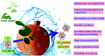 Graphical abstract: WEPA: a bio-derived medium for added base, π-acid and ligand free Ullmann coupling of aryl halides using Pd(OAc)2