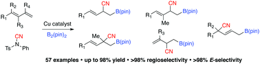 Graphical abstract: Cu-catalyzed regioselective borylcyanation of 1,3-dienes